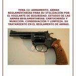 TEMA 12_VS_AI