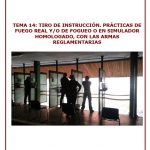 TEMA 14_VS_AI