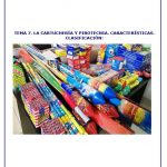 TEMA 7_MT_VE
