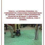 TEMA 8_VS_AI
